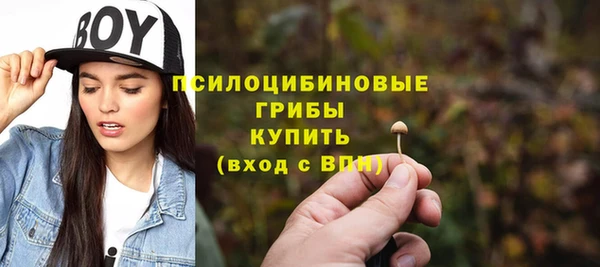 а пвп мука Богородск
