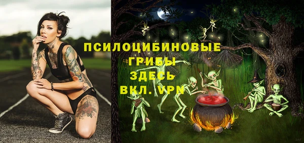 MDMA Premium VHQ Богородицк