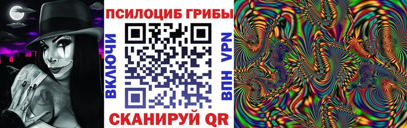 Псилоцибиновые грибы Cubensis Кувшиново